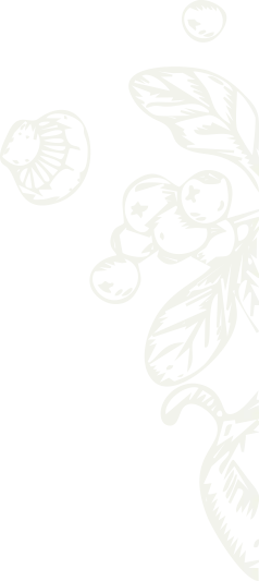 Decorative pattern