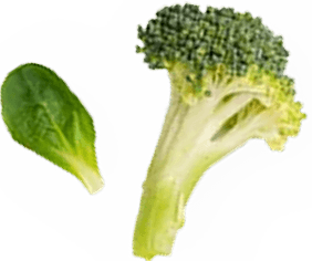Broccoli