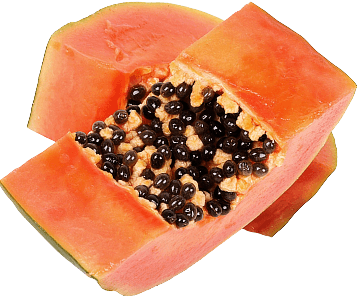 Papaya