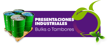 Formatos y Presentaciones