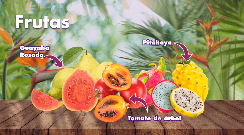 Nuestros Productos