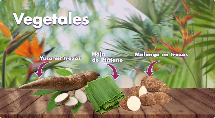 Nuestros Productos