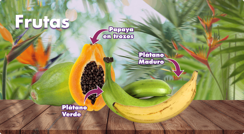 Nuestros Productos