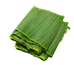 HOJAS DE PLÁTANO