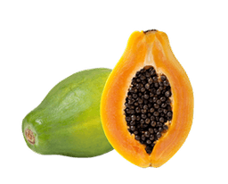 PAPAYA TROPICAL