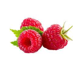 FRAMBUESA