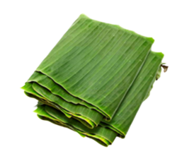 HOJAS DE PLÁTANO