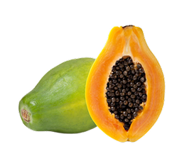 PAPAYA TROPICAL